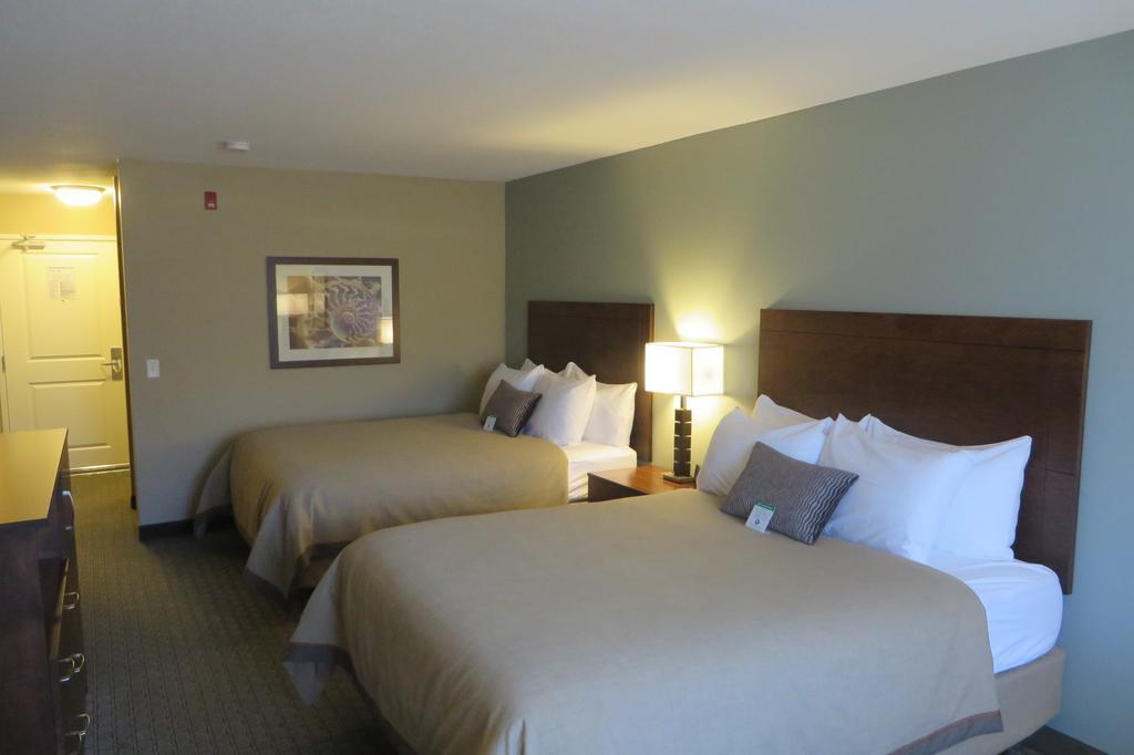 Comfort Inn & Suites - Chisago City מראה חיצוני תמונה