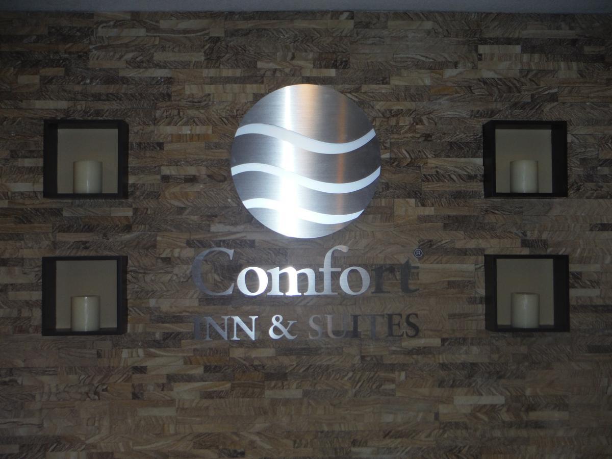 Comfort Inn & Suites - Chisago City מראה חיצוני תמונה